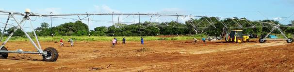 AgriServi Work group main.jpg